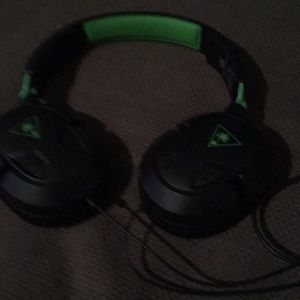 Turtle beaches